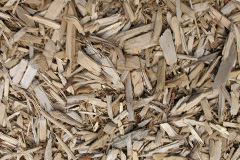 biomass boilers Cranoe